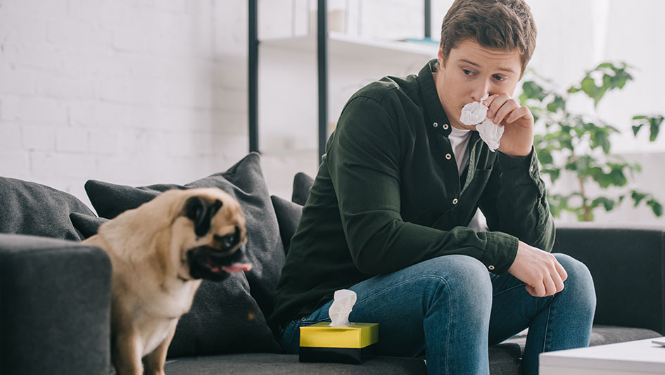 Getting an air purifier is one of the smartest methods to improve your house’s indoor air quality. Discover more about the three smartest products. 